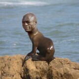 thatsealboiiiii
