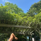 IMG_6450c0d03be7f1472fd2a955355f640e45ab